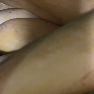 Yellow Squash (fresh)