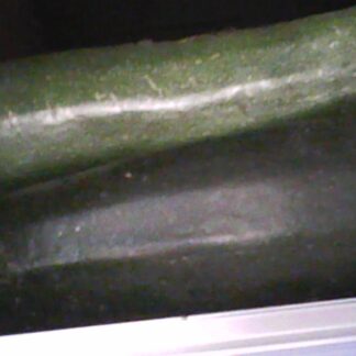 Zucchini