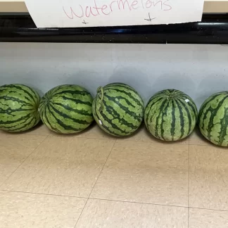 Yellow Meat Watermelons